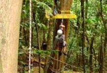 Canopy Adventure Tour